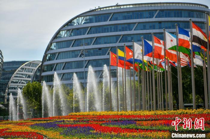 第五屆進(jìn)博會(huì)場(chǎng)館景觀裝飾全面定妝?！￡悏?mèng)澤 攝