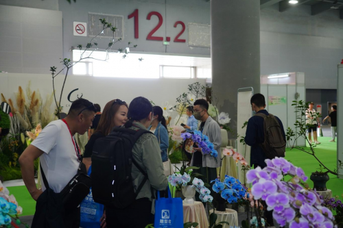 2024花城“新秀花事”亮點搶先看！和廣州國際花藝節(jié)一起解鎖“花經(jīng)濟”財富密碼(圖4)